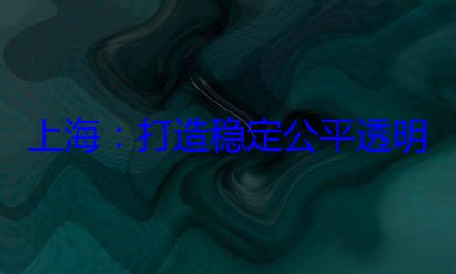 稳定公平透明的营商环境上海打造