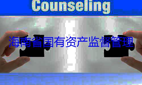 委副书记王理委员会党资产监督管有福接受审查调查海南省国有